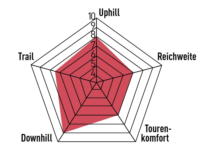 De sterke punten van de eFane liggen in snelle afdalingen, maar met zijn extreme geometrie is de fiets niet gemakkelijk te besturen. Als gevolg hiervan lijden de allround vaardigheden eronder.